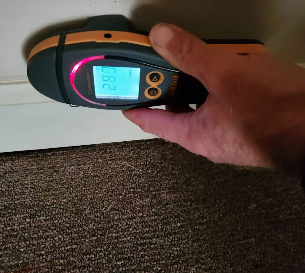 Moisture detection at baseboard during Sewage Cleanup & Sanitation in Gulfport